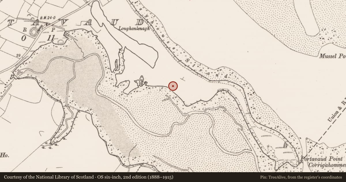 Ordnance Survey six-inch map, 2nd edition (1888–1915) covering the location of Enclosure, Portavaud, County Sligo, with a pin at the register's coordinates