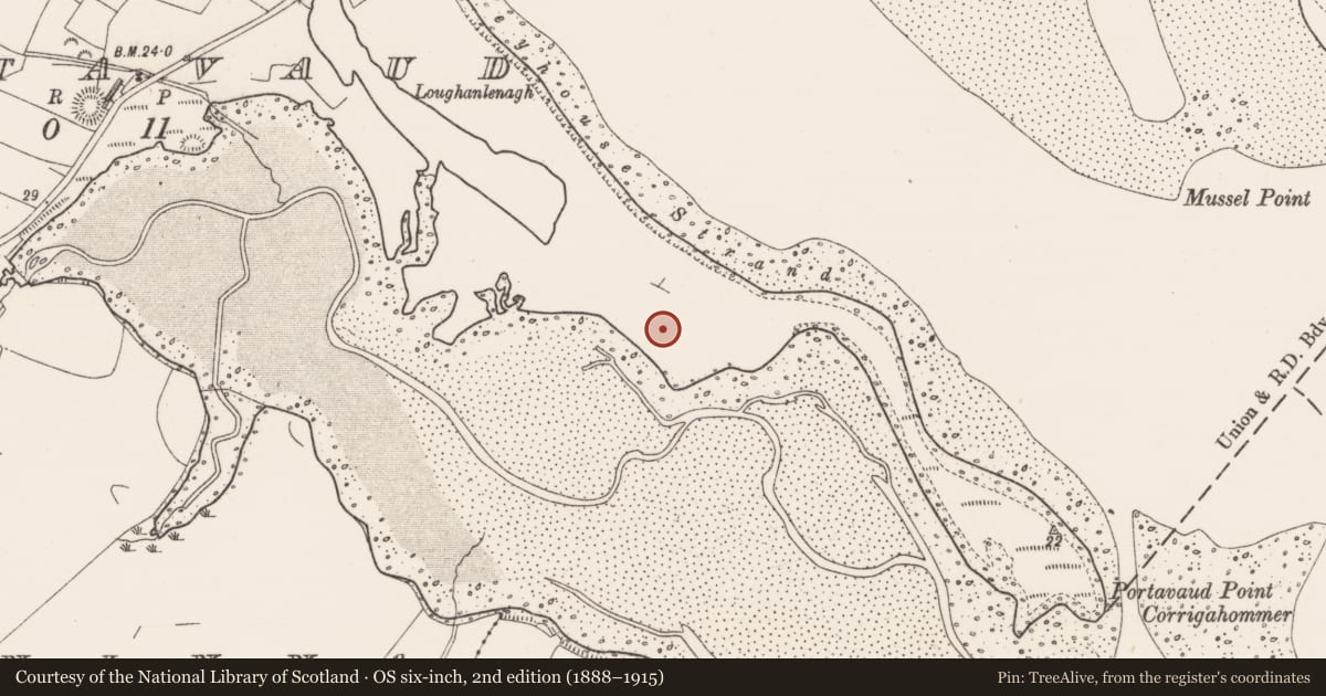 Ordnance Survey six-inch map, 2nd edition (1888–1915) covering the location of Enclosure, Portavaud, County Sligo, with a pin at the register's coordinates