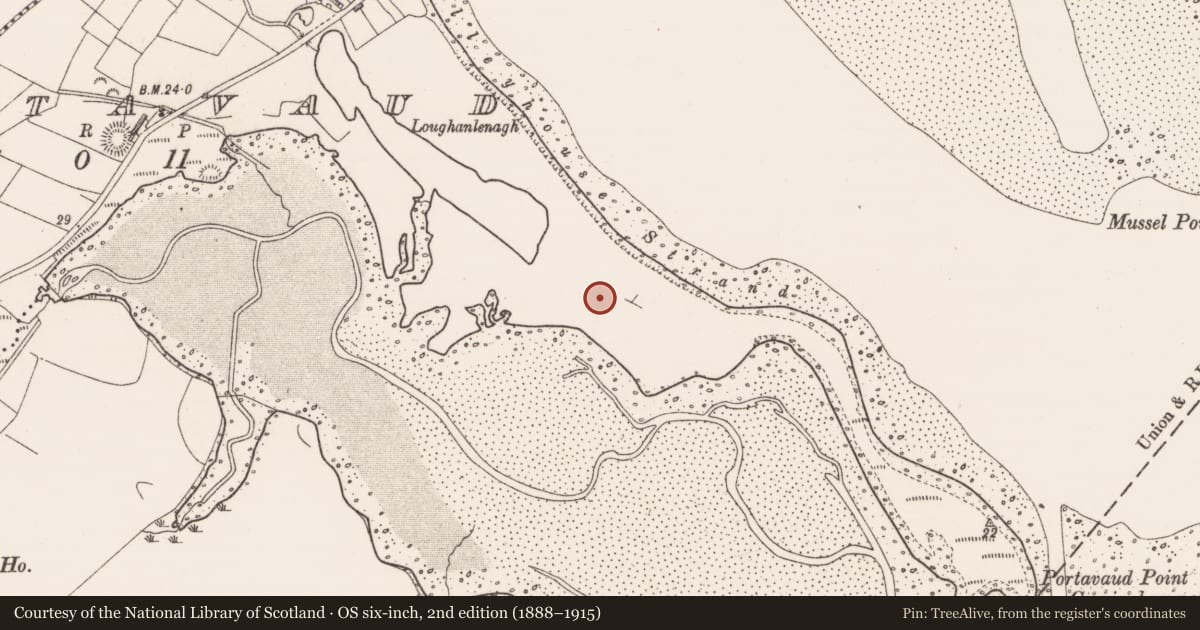 Ordnance Survey six-inch map, 2nd edition (1888–1915) covering the location of Enclosure, Portavaud, County Sligo, with a pin at the register's coordinates