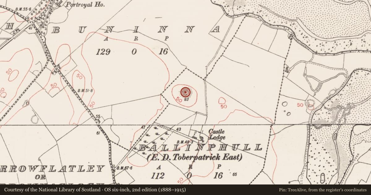 Ordnance Survey six-inch map, 2nd edition (1888–1915) covering the location of Castle - ringwork, Ballinphull, County Sligo, with a pin at the register's coordinates