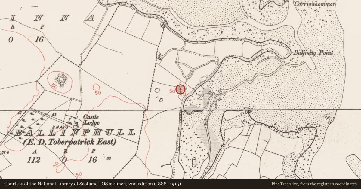 Ordnance Survey six-inch map, 2nd edition (1888–1915) covering the location of Ringfort - rath, Ballinlig, County Sligo, with a pin at the register's coordinates