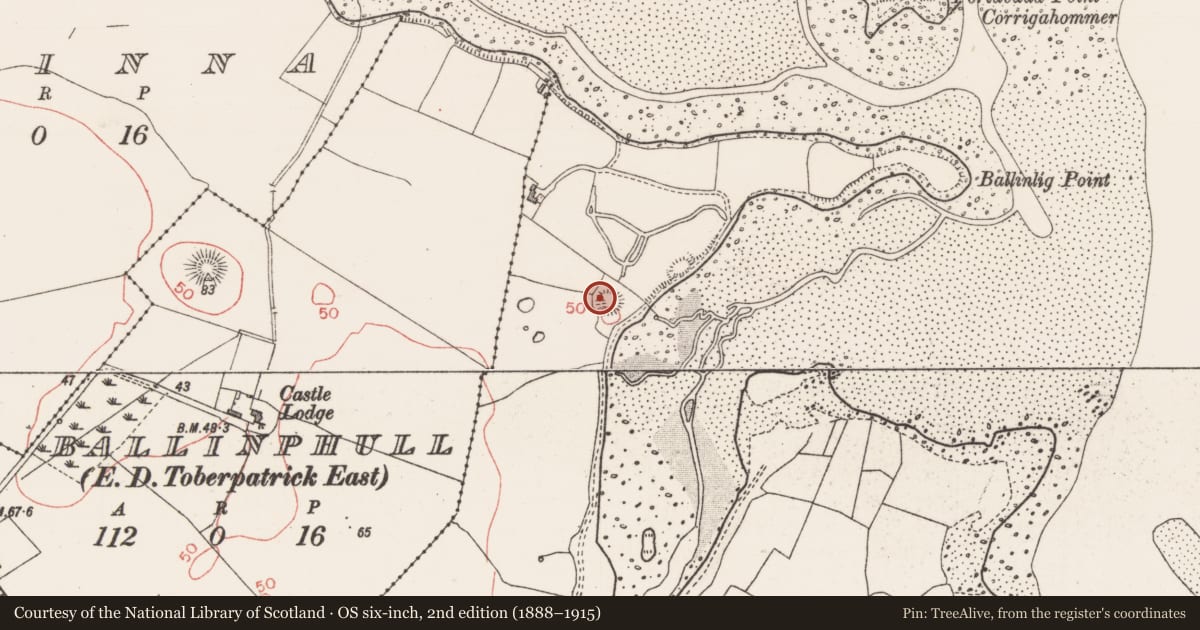 Ordnance Survey six-inch map, 2nd edition (1888–1915) covering the location of Souterrain, Ballinlig, County Sligo, with a pin at the register's coordinates