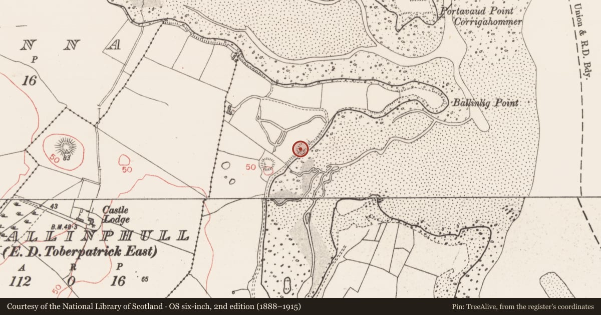 Ordnance Survey six-inch map, 2nd edition (1888–1915) covering the location of Ringfort - rath, Ballinlig, County Sligo, with a pin at the register's coordinates
