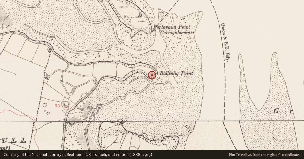 Ordnance Survey six-inch map, 2nd edition (1888–1915) covering the location of Midden, Ballinlig, County Sligo, with a pin at the register's coordinates