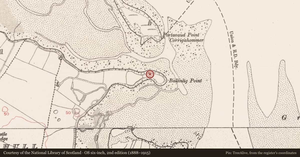 Ordnance Survey six-inch map, 2nd edition (1888–1915) covering the location of Midden, Ballinlig, County Sligo, with a pin at the register's coordinates