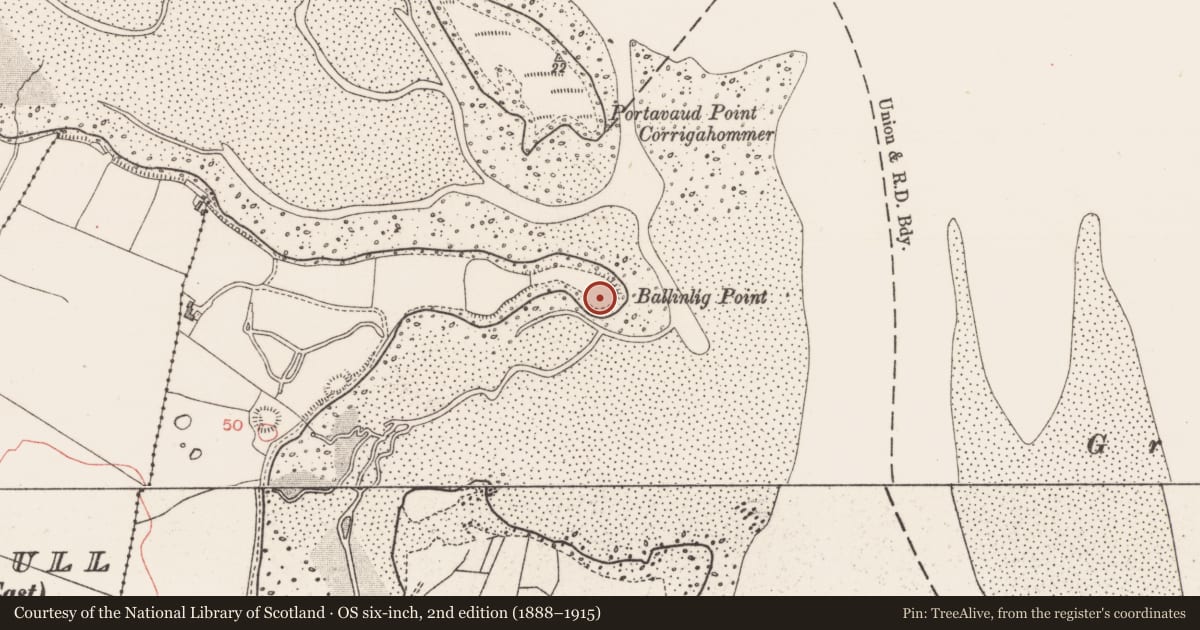 Ordnance Survey six-inch map, 2nd edition (1888–1915) covering the location of Hut site, Ballinlig, County Sligo, with a pin at the register's coordinates