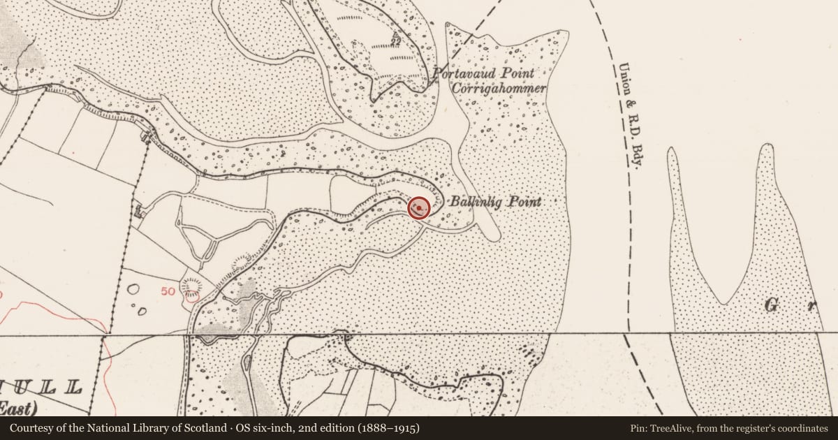 Ordnance Survey six-inch map, 2nd edition (1888–1915) covering the location of Hut site, Ballinlig, County Sligo, with a pin at the register's coordinates
