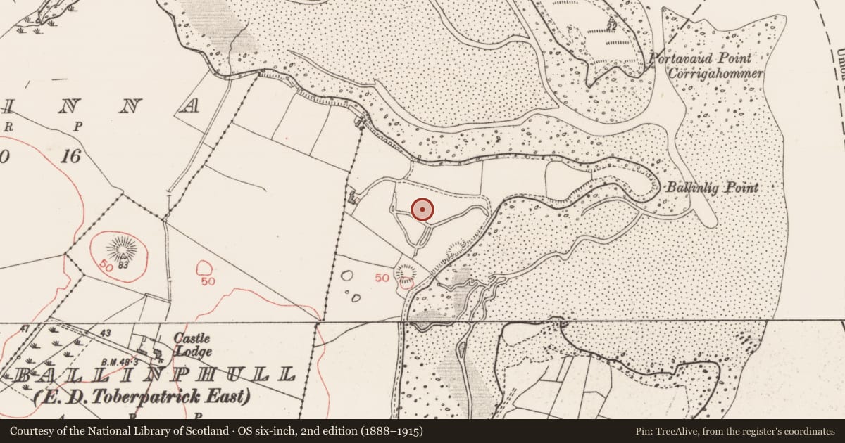 Ordnance Survey six-inch map, 2nd edition (1888–1915) covering the location of Enclosure, Ballinlig, County Sligo, with a pin at the register's coordinates