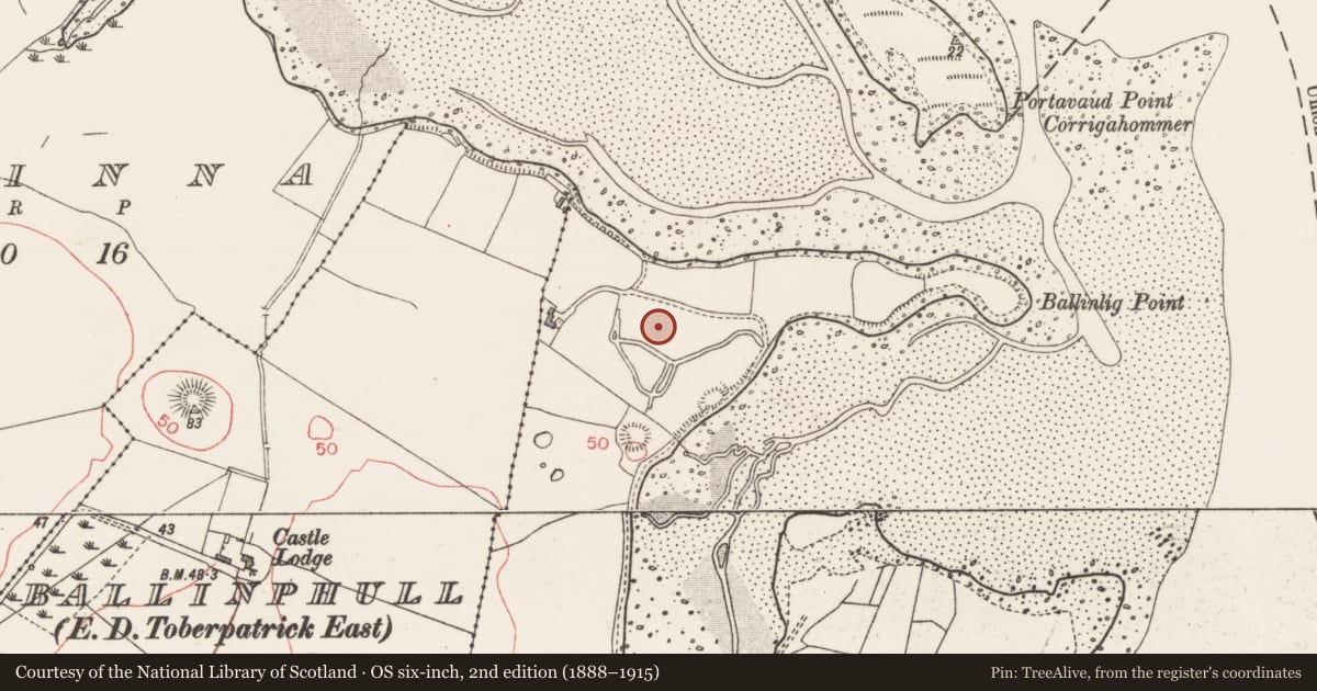 Ordnance Survey six-inch map, 2nd edition (1888–1915) covering the location of Hut site, Ballinlig, County Sligo, with a pin at the register's coordinates