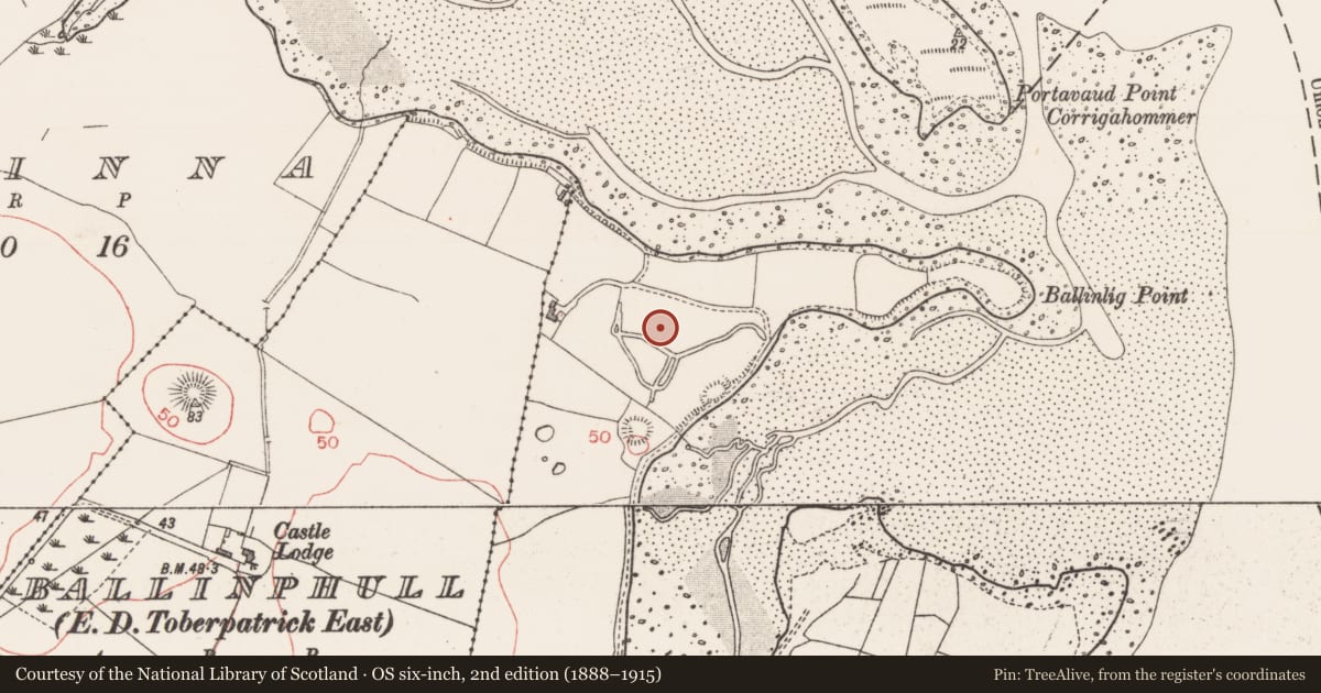 Ordnance Survey six-inch map, 2nd edition (1888–1915) covering the location of Hut site, Ballinlig, County Sligo, with a pin at the register's coordinates