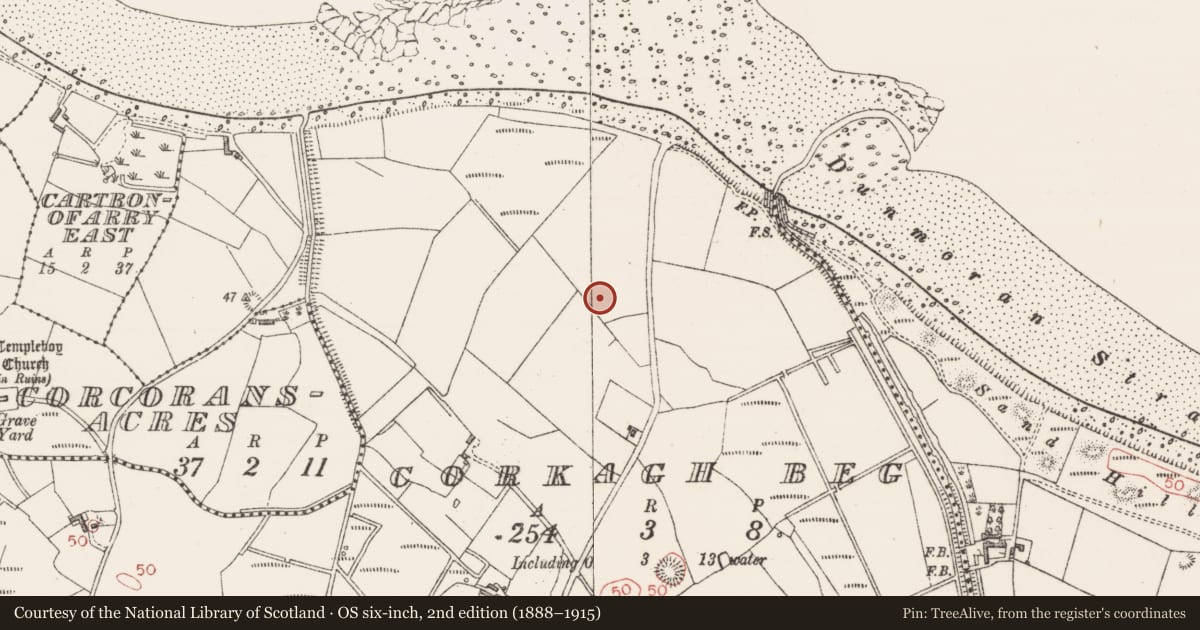Ordnance Survey six-inch map, 2nd edition (1888–1915) covering the location of Moated site, Corkagh Beg, County Sligo, with a pin at the register's coordinates