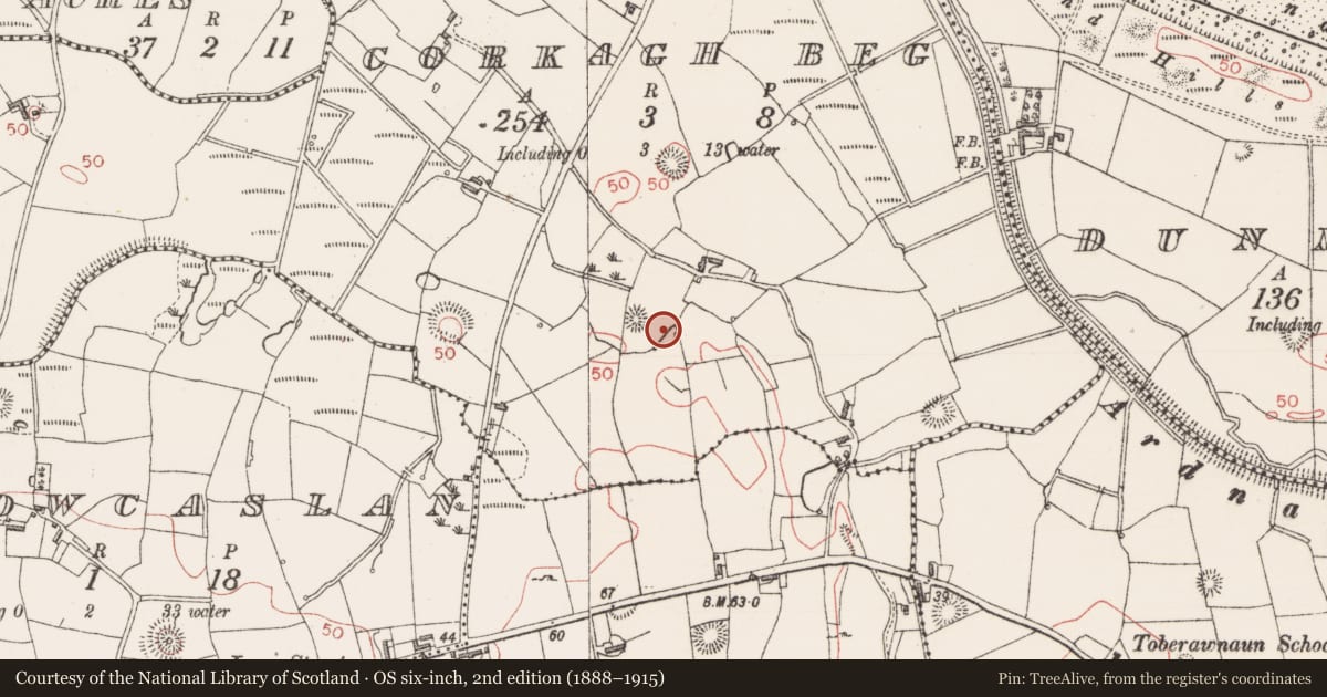 Ordnance Survey six-inch map, 2nd edition (1888–1915) covering the location of Ogham stone, Corkagh Beg, County Sligo, with a pin at the register's coordinates