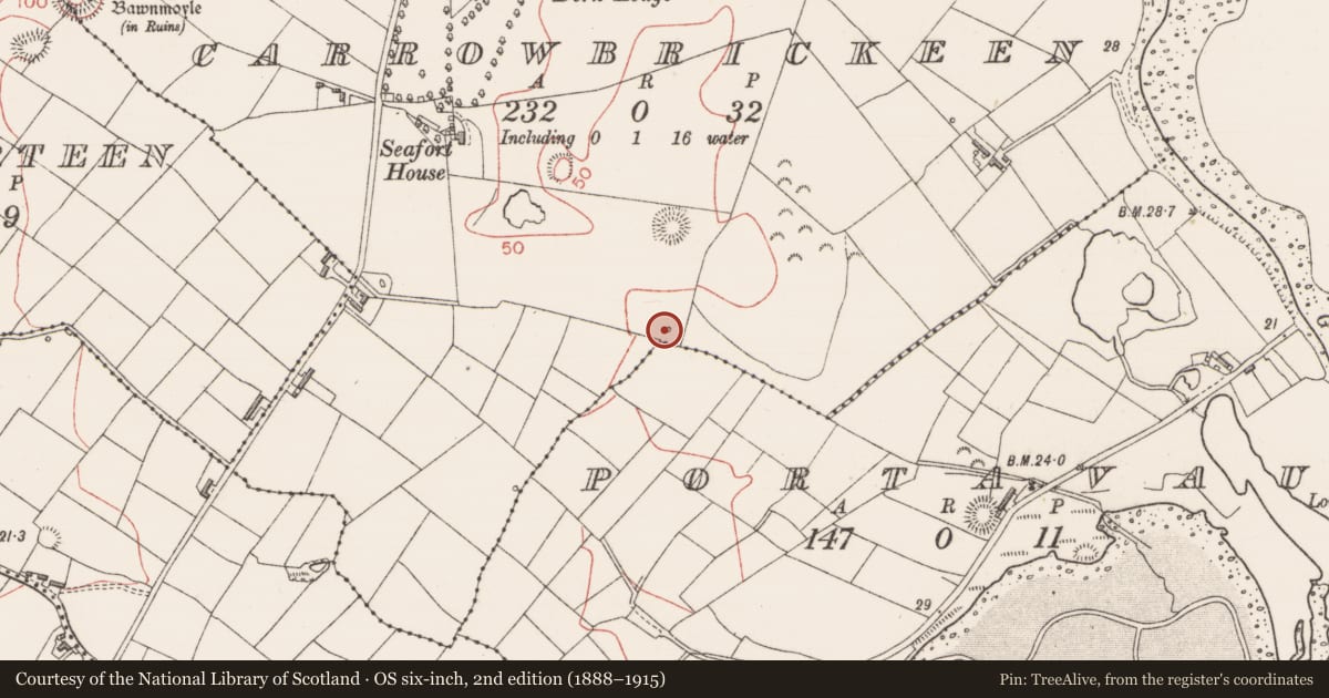 Ordnance Survey six-inch map, 2nd edition (1888–1915) covering the location of Well, Carrowbrickeen, County Sligo, with a pin at the register's coordinates
