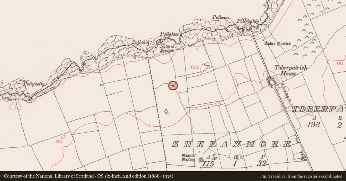 Ordnance Survey six-inch map, 2nd edition (1888–1915) covering the location of Field system, Sheeanmore, County Sligo, with a pin at the register's coordinates