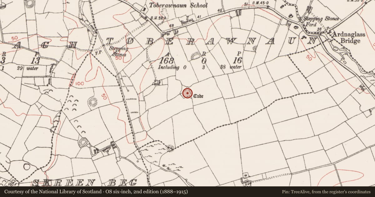 Ordnance Survey six-inch map, 2nd edition (1888–1915) covering the location of Field boundary, Toberawnaun, County Sligo, with a pin at the register's coordinates