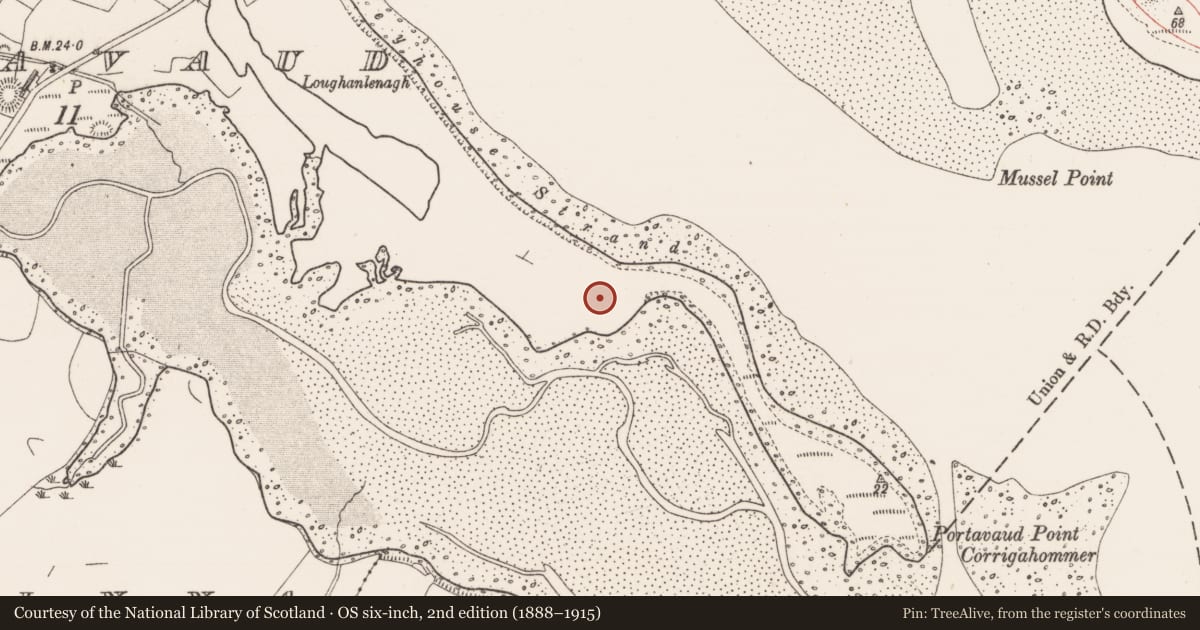 Ordnance Survey six-inch map, 2nd edition (1888–1915) covering the location of Hut site, Portavaud, County Sligo, with a pin at the register's coordinates
