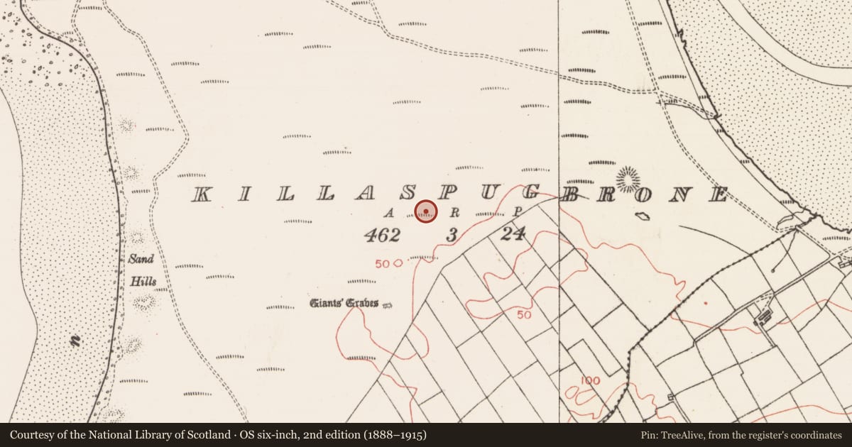 Ordnance Survey six-inch map, 2nd edition (1888–1915) covering the location of Midden, Killaspugbrone, County Sligo, with a pin at the register's coordinates