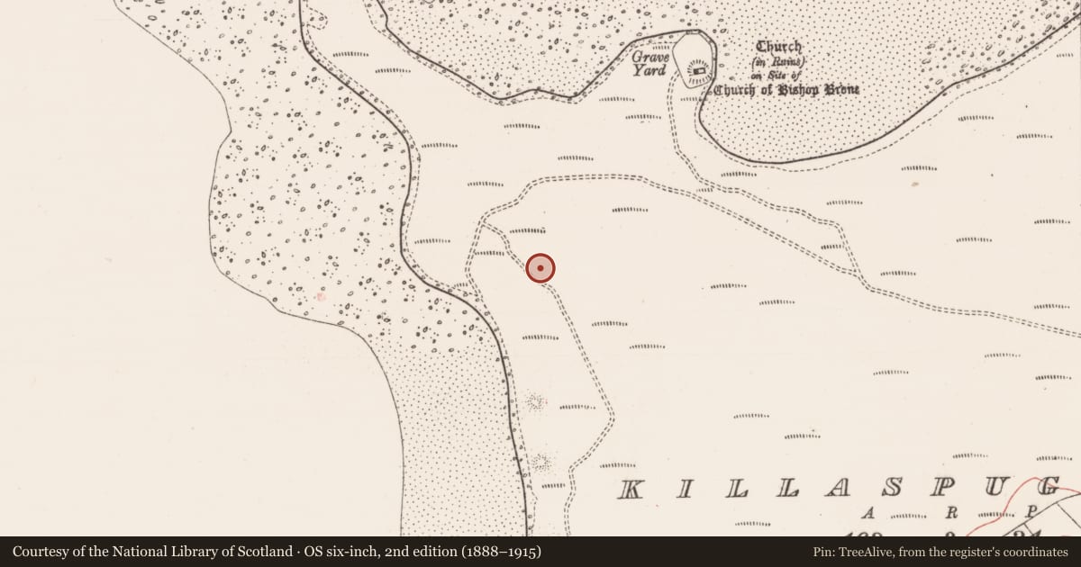 Ordnance Survey six-inch map, 2nd edition (1888–1915) covering the location of Midden, Killaspugbrone, County Sligo, with a pin at the register's coordinates