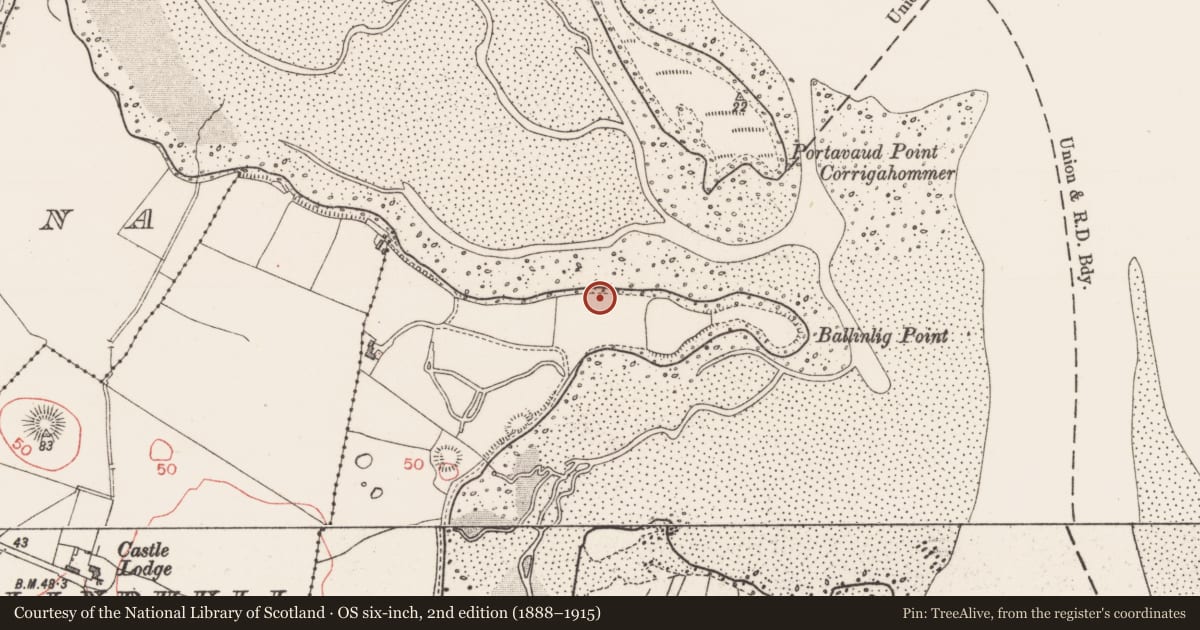 Ordnance Survey six-inch map, 2nd edition (1888–1915) covering the location of Midden, Ballinlig, County Sligo, with a pin at the register's coordinates