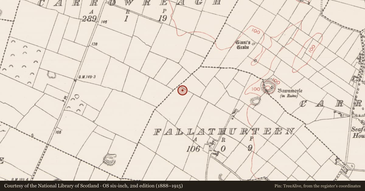 Ordnance Survey six-inch map, 2nd edition (1888–1915) covering the location of Enclosure, Carrowreagh, Fallathurteen, County Sligo, with a pin at the register's coordinates
