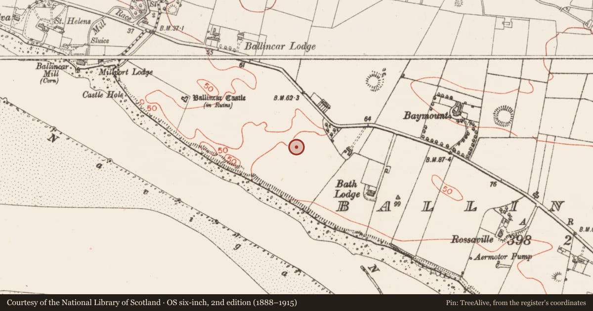 Ordnance Survey six-inch map, 2nd edition (1888–1915) covering the location of Cultivation ridges, Ballincar, County Sligo, with a pin at the register's coordinates