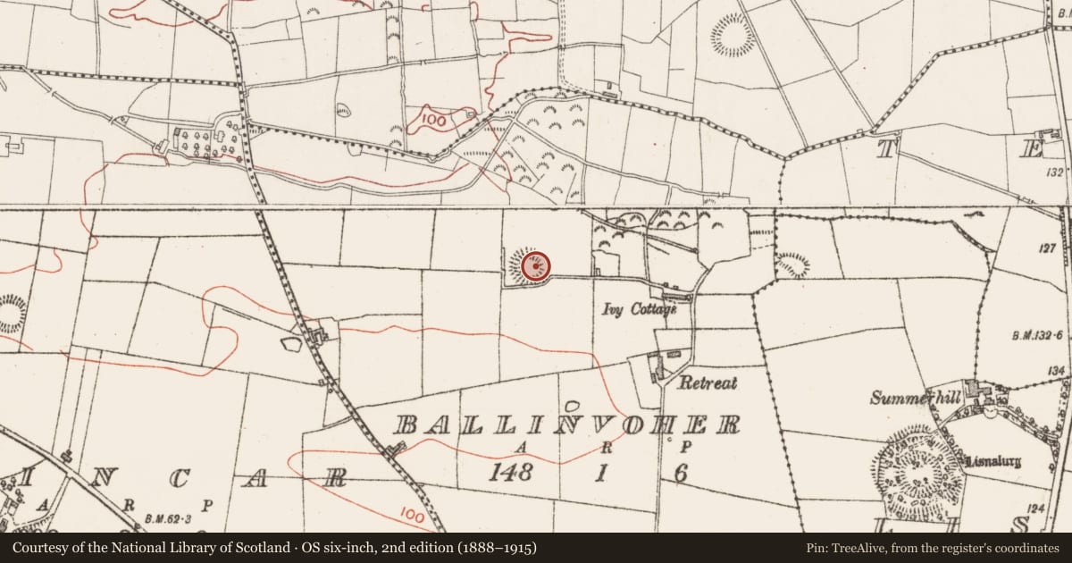 Ordnance Survey six-inch map, 2nd edition (1888–1915) covering the location of Ringfort - rath, Ballinvoher, County Sligo, with a pin at the register's coordinates