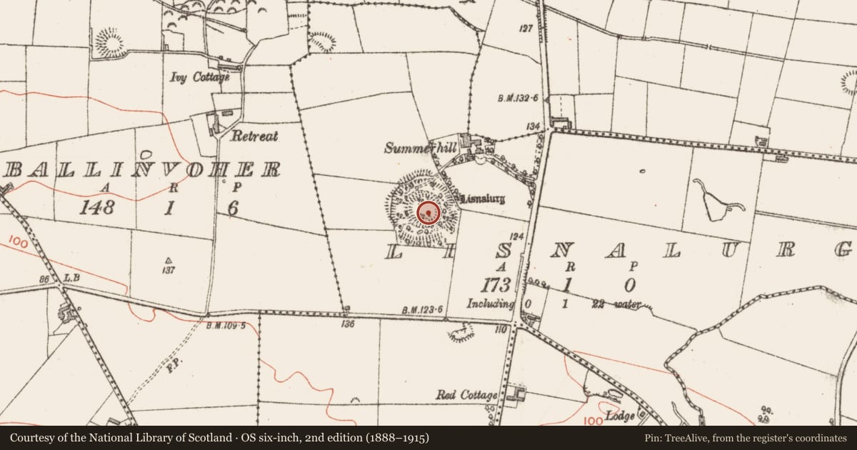 Ordnance Survey six-inch map, 2nd edition (1888–1915) covering the location of Souterrain, Lisnalurg, County Sligo, with a pin at the register's coordinates