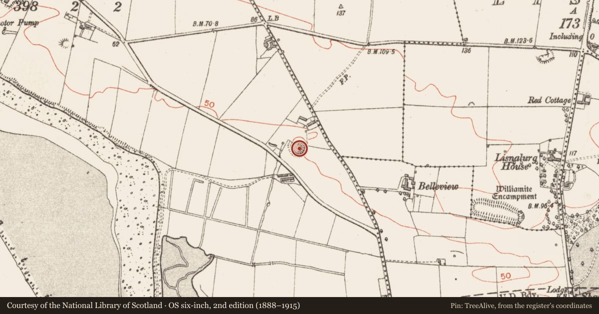 Ordnance Survey six-inch map, 2nd edition (1888–1915) covering the location of Ringfort - rath, Ballincar, County Sligo, with a pin at the register's coordinates