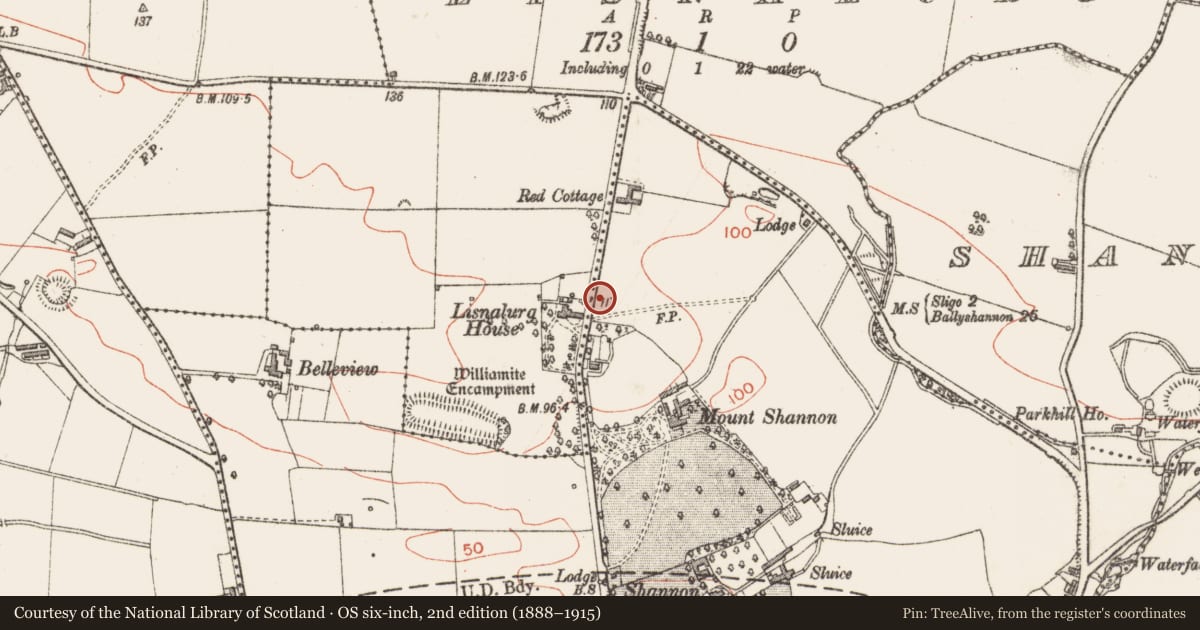 Ordnance Survey six-inch map, 2nd edition (1888–1915) covering the location of Burnt spread, Lisnalurg, County Sligo, with a pin at the register's coordinates