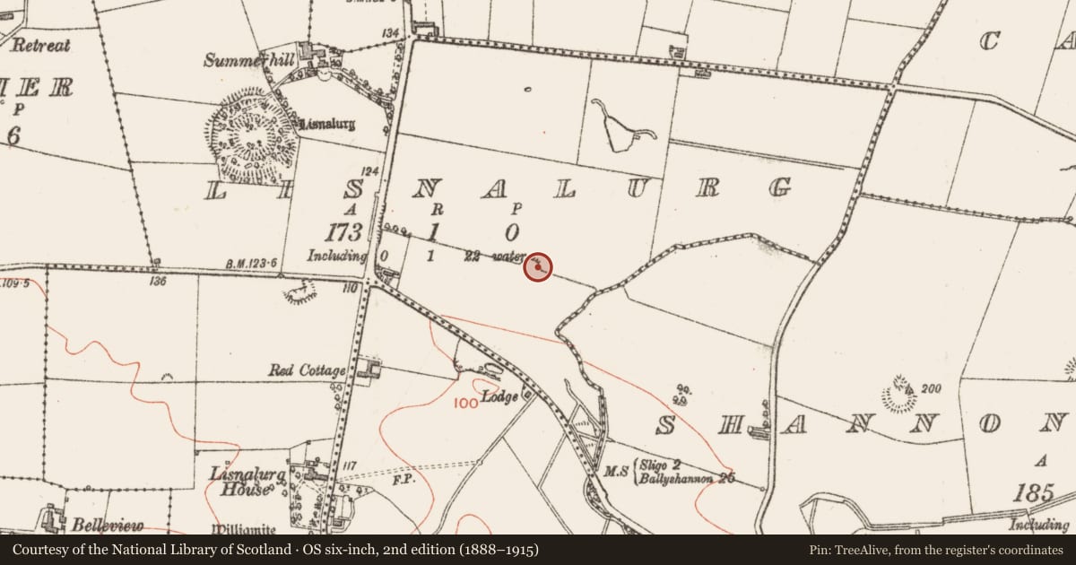 Ordnance Survey six-inch map, 2nd edition (1888–1915) covering the location of Gateway, Teesan, County Sligo, with a pin at the register's coordinates