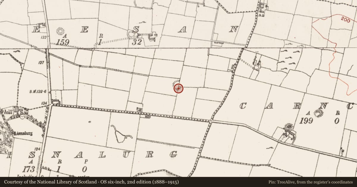 Ordnance Survey six-inch map, 2nd edition (1888–1915) covering the location of Enclosure, Teesan, County Sligo, with a pin at the register's coordinates