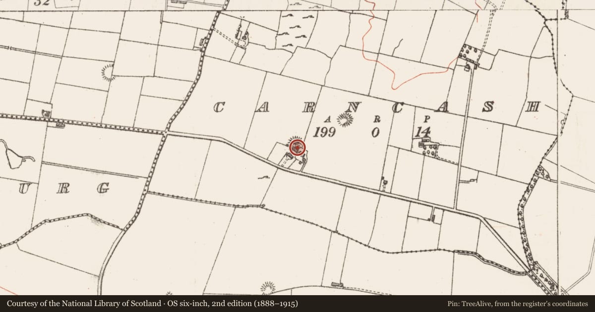 Ordnance Survey six-inch map, 2nd edition (1888–1915) covering the location of Ringfort - rath, Carncash, County Sligo, with a pin at the register's coordinates