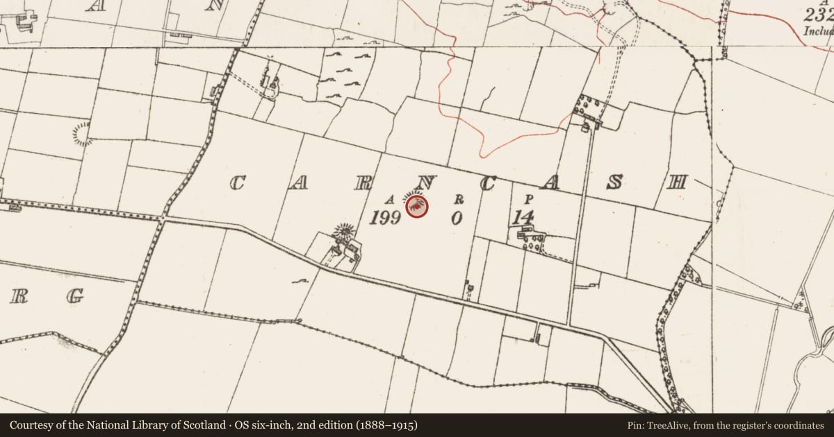 Ordnance Survey six-inch map, 2nd edition (1888–1915) covering the location of Ringfort - cashel, Carncash, County Sligo, with a pin at the register's coordinates