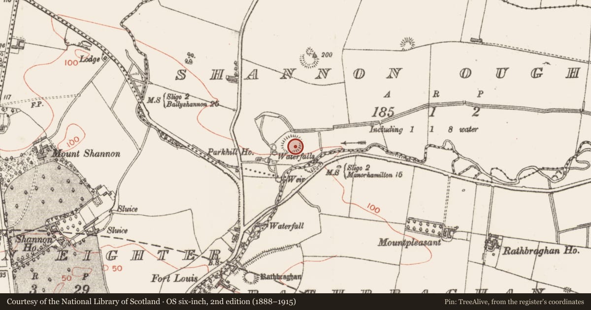 Ordnance Survey six-inch map, 2nd edition (1888–1915) covering the location of Ringfort - rath, Shannon Oughter, County Sligo, with a pin at the register's coordinates