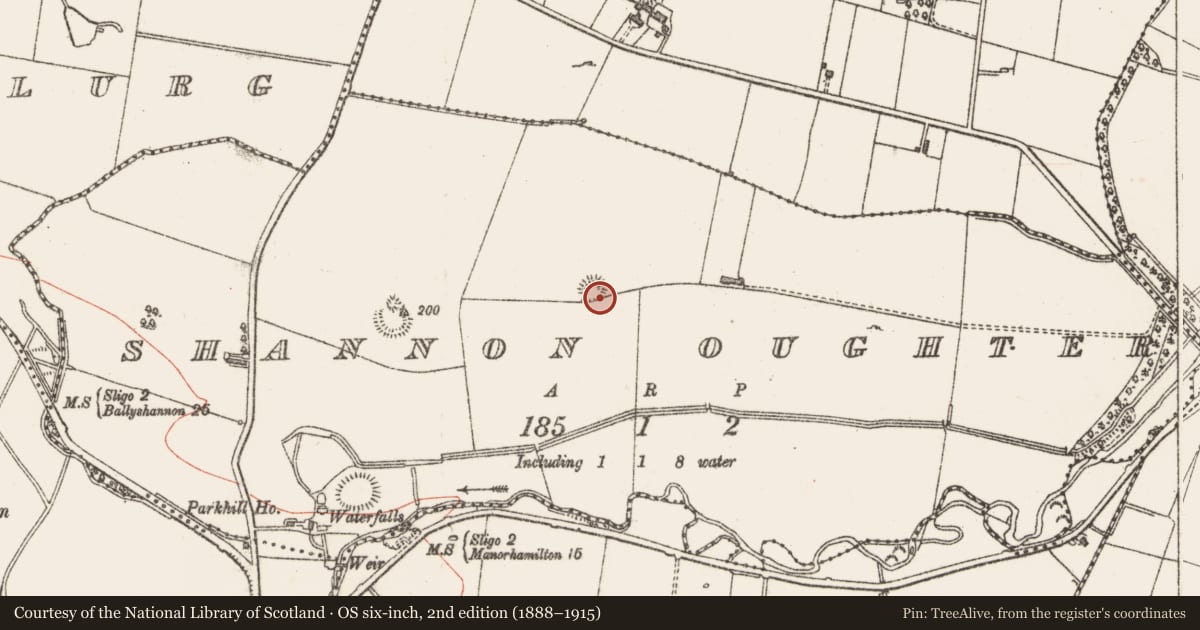 Ordnance Survey six-inch map, 2nd edition (1888–1915) covering the location of Ringfort - rath, Shannon Oughter, County Sligo, with a pin at the register's coordinates