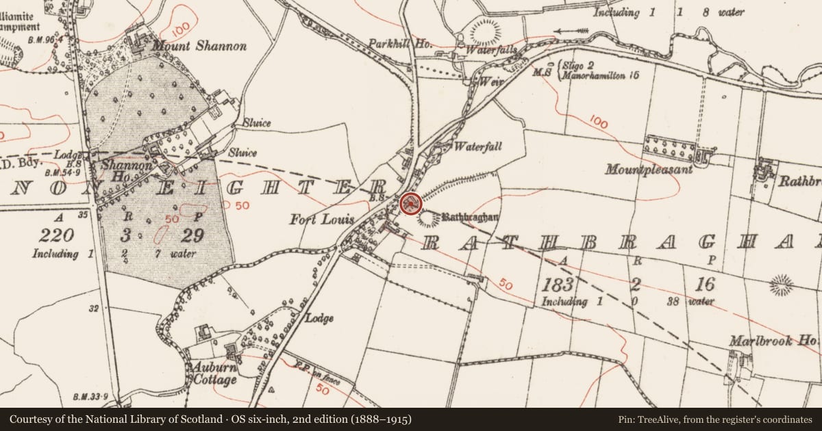 Ordnance Survey six-inch map, 2nd edition (1888–1915) covering the location of Mill - unclassified, Rathbraghan, County Sligo, with a pin at the register's coordinates