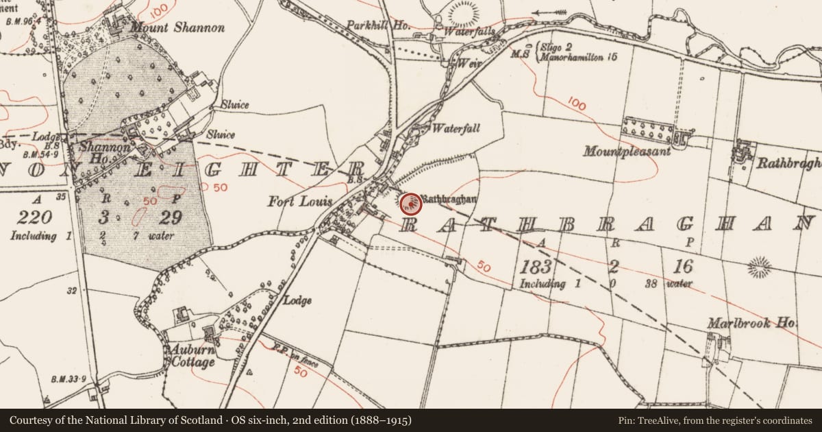 Ordnance Survey six-inch map, 2nd edition (1888–1915) covering the location of Ringfort - rath, Rathbraghan, County Sligo, with a pin at the register's coordinates
