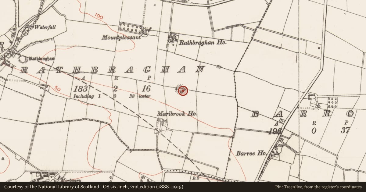Ordnance Survey six-inch map, 2nd edition (1888–1915) covering the location of Ringfort - rath, Rathbraghan, County Sligo, with a pin at the register's coordinates