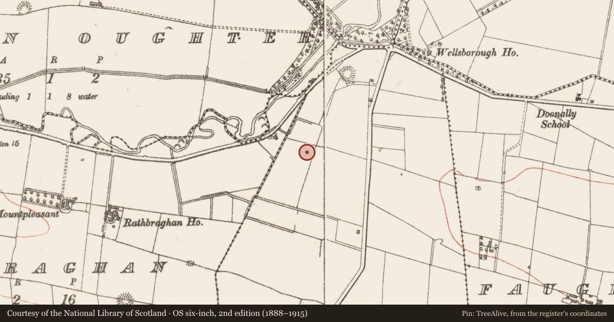 Ordnance Survey six-inch map, 2nd edition (1888–1915) covering the location of Ringfort - rath, Barroe, County Sligo, with a pin at the register's coordinates