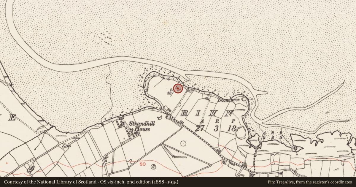 Ordnance Survey six-inch map, 2nd edition (1888–1915) covering the location of Enclosure, Rinn, County Sligo, with a pin at the register's coordinates