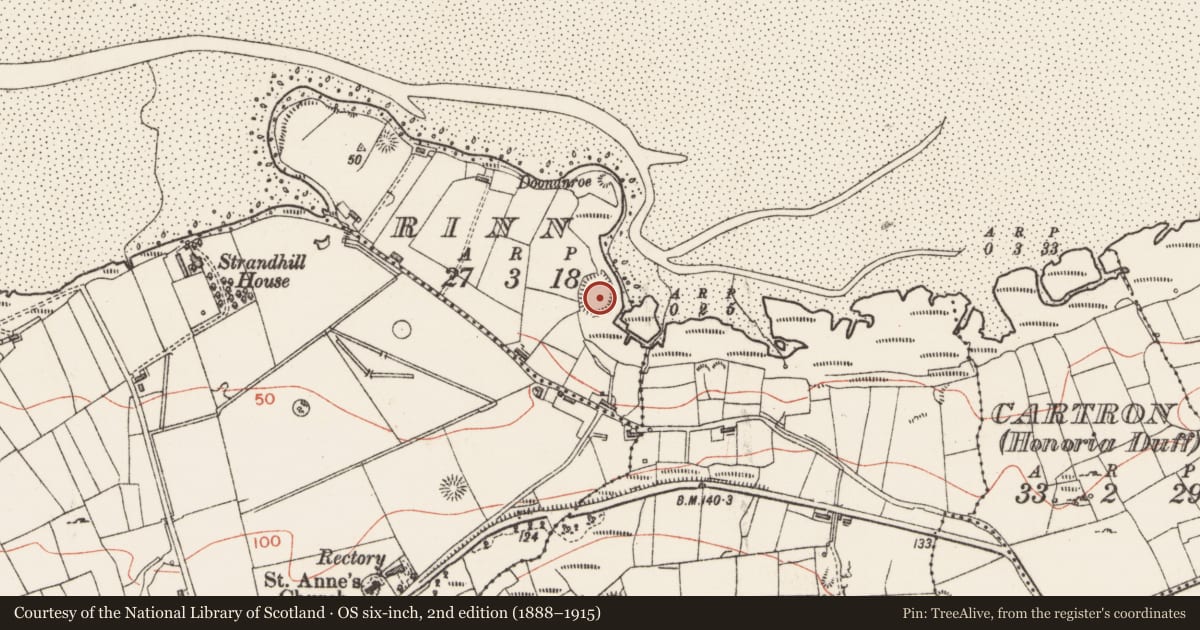 Ordnance Survey six-inch map, 2nd edition (1888–1915) covering the location of Earthwork, Rinn, County Sligo, with a pin at the register's coordinates