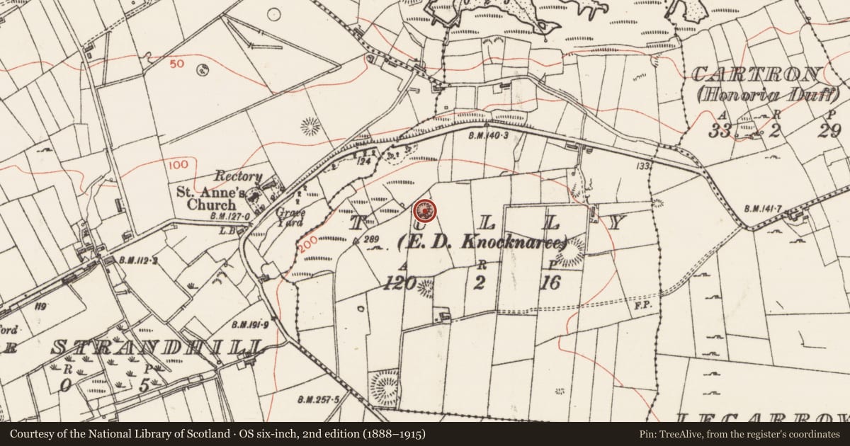 Ordnance Survey six-inch map, 2nd edition (1888–1915) covering the location of Ringfort - rath, Tully, County Sligo, with a pin at the register's coordinates