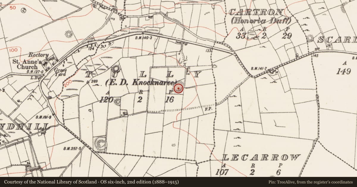 Ordnance Survey six-inch map, 2nd edition (1888–1915) covering the location of Ringfort - rath, Tully, County Sligo, with a pin at the register's coordinates