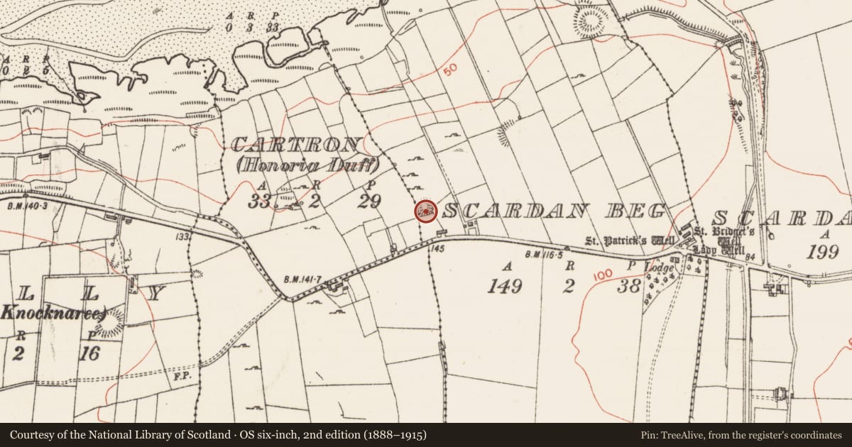 Ordnance Survey six-inch map, 2nd edition (1888–1915) covering the location of Ringfort - rath, Scardan Beg, County Sligo, with a pin at the register's coordinates