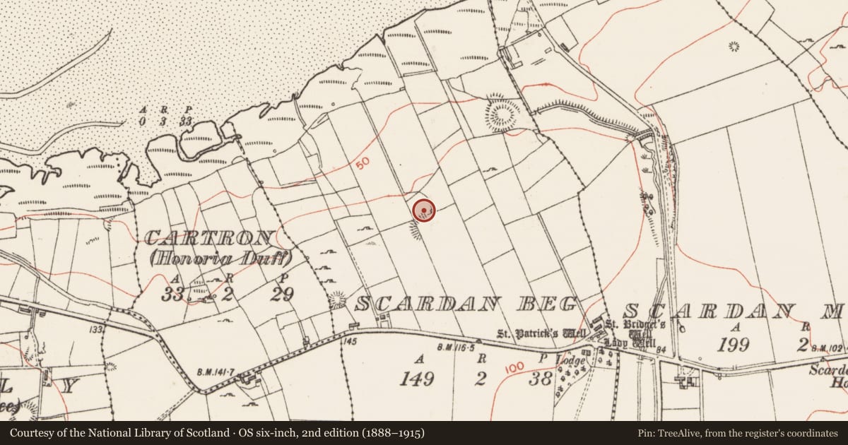 Ordnance Survey six-inch map, 2nd edition (1888–1915) covering the location of Enclosure, Scardan Beg, County Sligo, with a pin at the register's coordinates