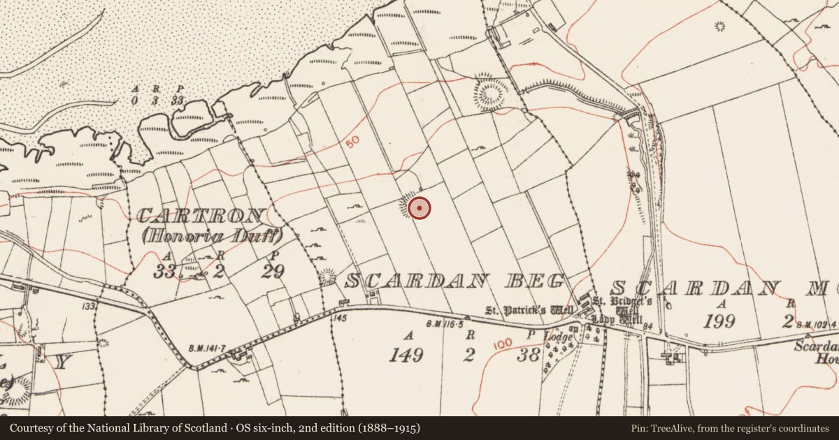 Ordnance Survey six-inch map, 2nd edition (1888–1915) covering the location of Ringfort - rath, Scardan Beg, County Sligo, with a pin at the register's coordinates