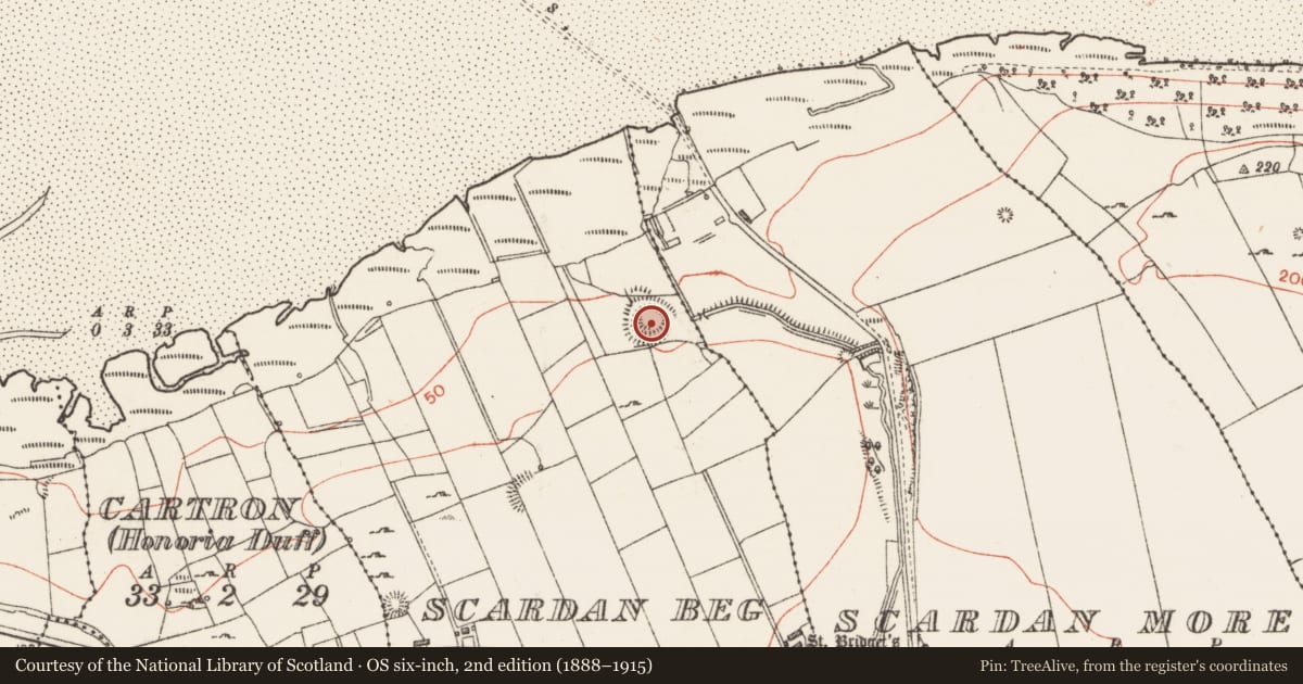 Ordnance Survey six-inch map, 2nd edition (1888–1915) covering the location of Ringfort - rath, Scardan Beg, County Sligo, with a pin at the register's coordinates