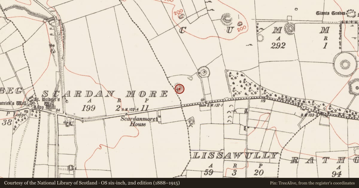 Ordnance Survey six-inch map, 2nd edition (1888–1915) covering the location of Enclosure, Cummeen, County Sligo, with a pin at the register's coordinates