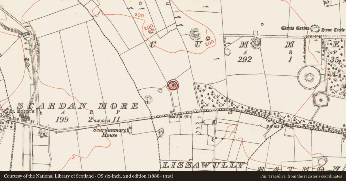 Ordnance Survey six-inch map, 2nd edition (1888–1915) covering the location of Ringfort - rath, Cummeen, County Sligo, with a pin at the register's coordinates