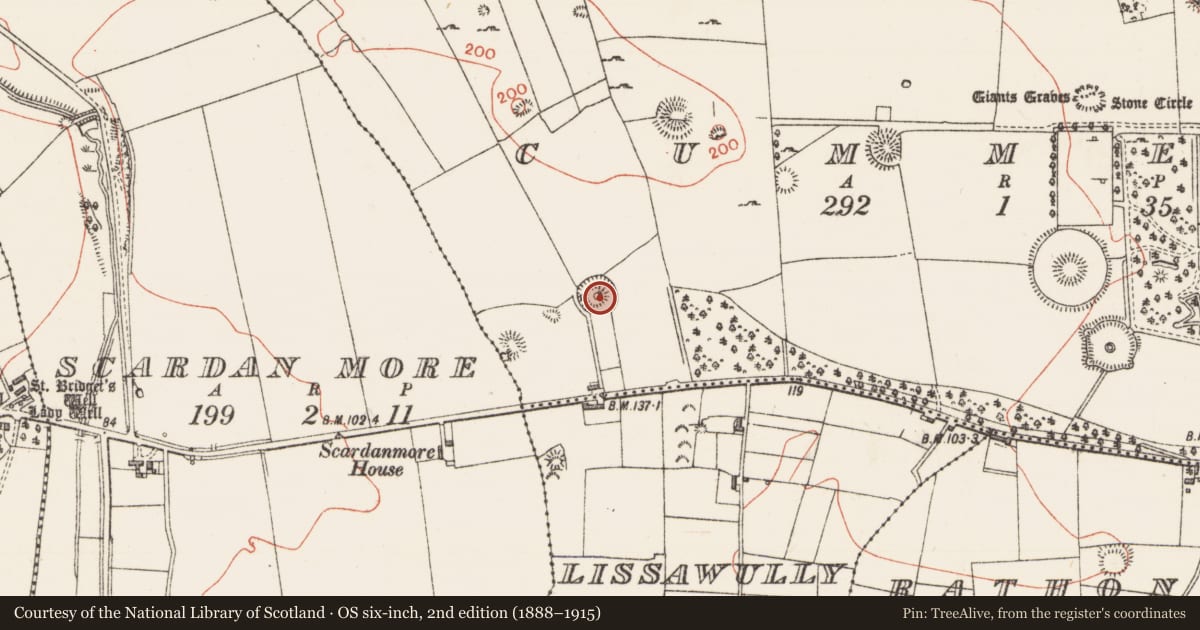 Ordnance Survey six-inch map, 2nd edition (1888–1915) covering the location of Designed landscape - folly, Cummeen, County Sligo, with a pin at the register's coordinates